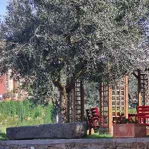  Appartement Il Pintello